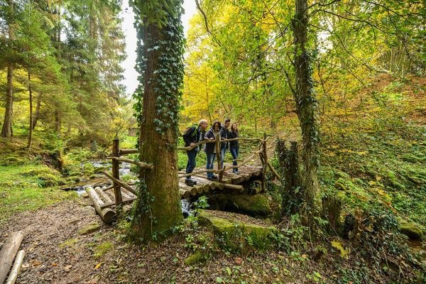 Vier Wanderer auf dem Wanderweg Gernsbacher Runde schauen sich auf einer Brücke die tolle Landschaft an