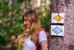 Zwei Wegweiser am Baum - die gelbe Raute vom Schwarzwaldverein und die Mutgleiter-Raute. Im Hintergrund eine Wanderin Wegweiser Murgleiter und gelbe Raute am Baum