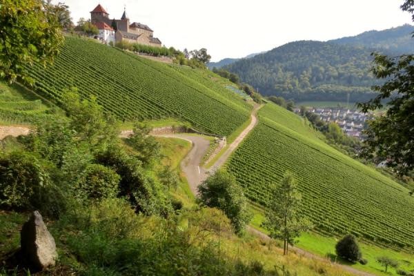 Blick auf das Schloss Eberstein - Gernsbacher Runde Blick auf das Schloss Eberstein - Gernsbacher Runde