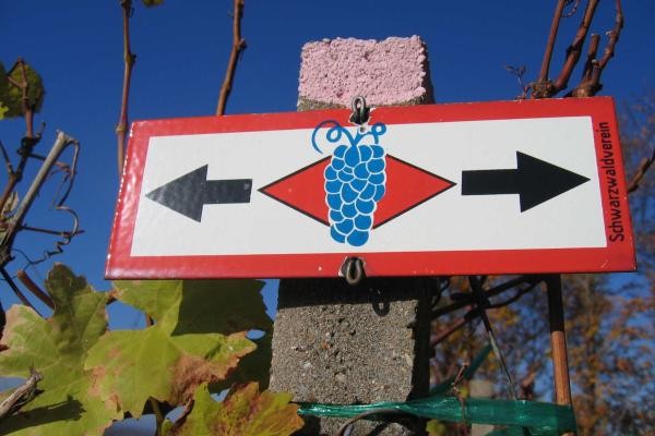 Rote Raute des Ortenauer Weinpfad Rote Raute des Ortenauer Weinpfad