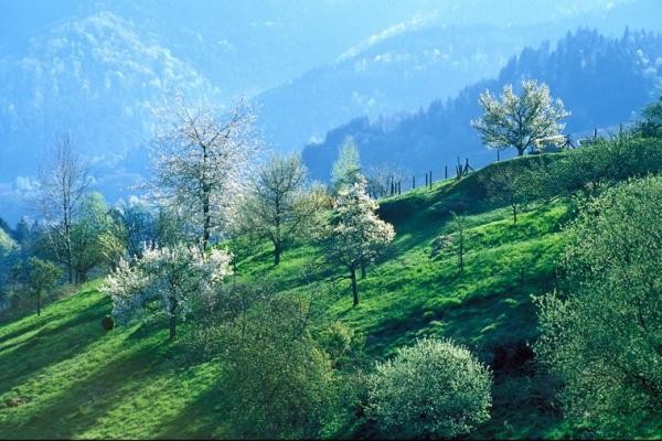 Der Westweg durch den Naturpark Schwarzwald Mitte Nord Blick auf den Schwarzwaldberge des Naturparks Schwarzwald Mitte Nord