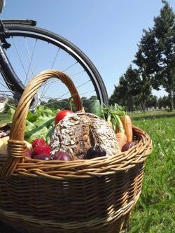 Picknickkorb auf der Wiese