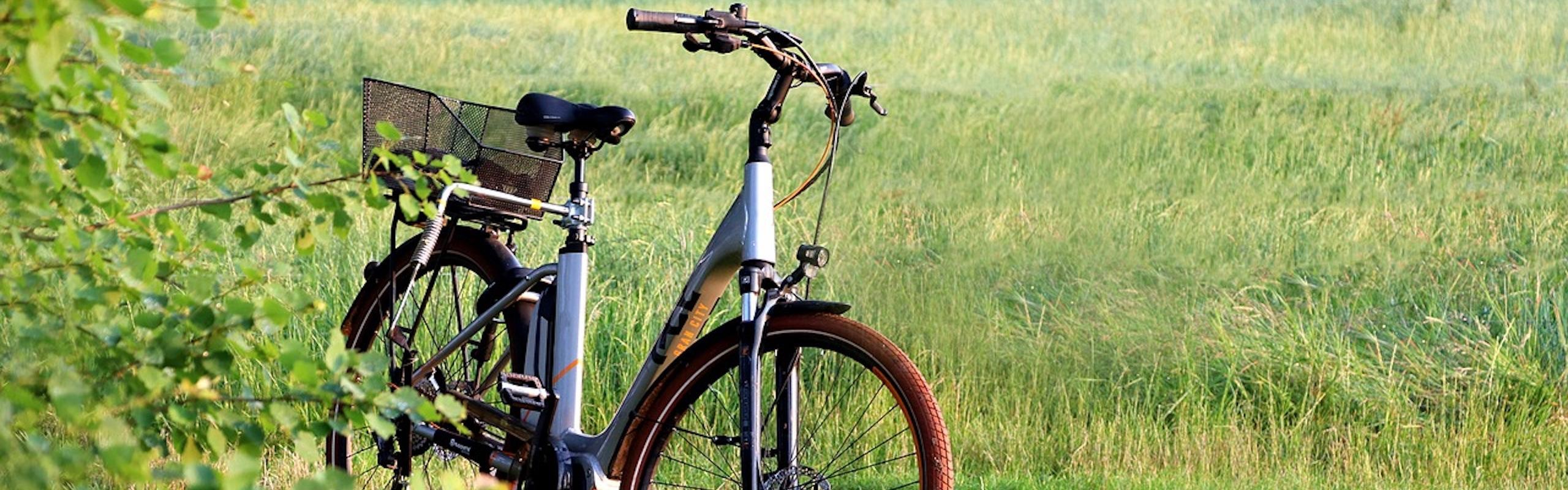 Ein E-Bike steht auf einer grünen Wiesen