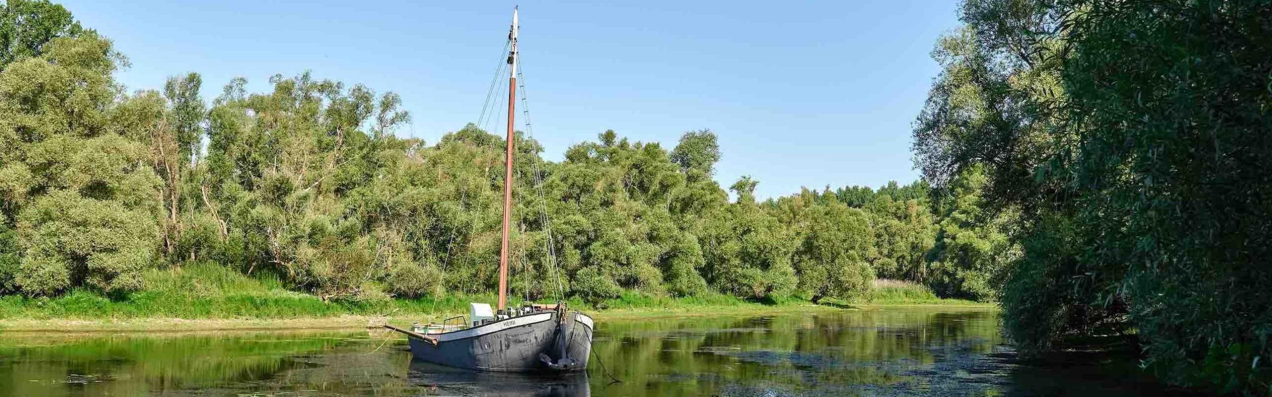 Das Bild zeigt einen Aalschokker, ein Boot mit Mast, in einem Fluß, umgeben von viel Grün