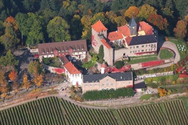 Schloss Eberstein mit Weinhang in Gernsbach in der Vogelperspektive