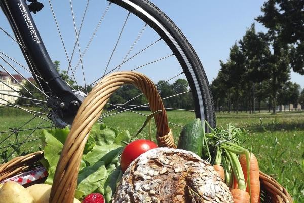 Das Bild zeigt einen Korb mit Brot, Kartoffeln, Möhren, Tomaten und Salat und einem Rad eines Fahrrades im Hintergrund