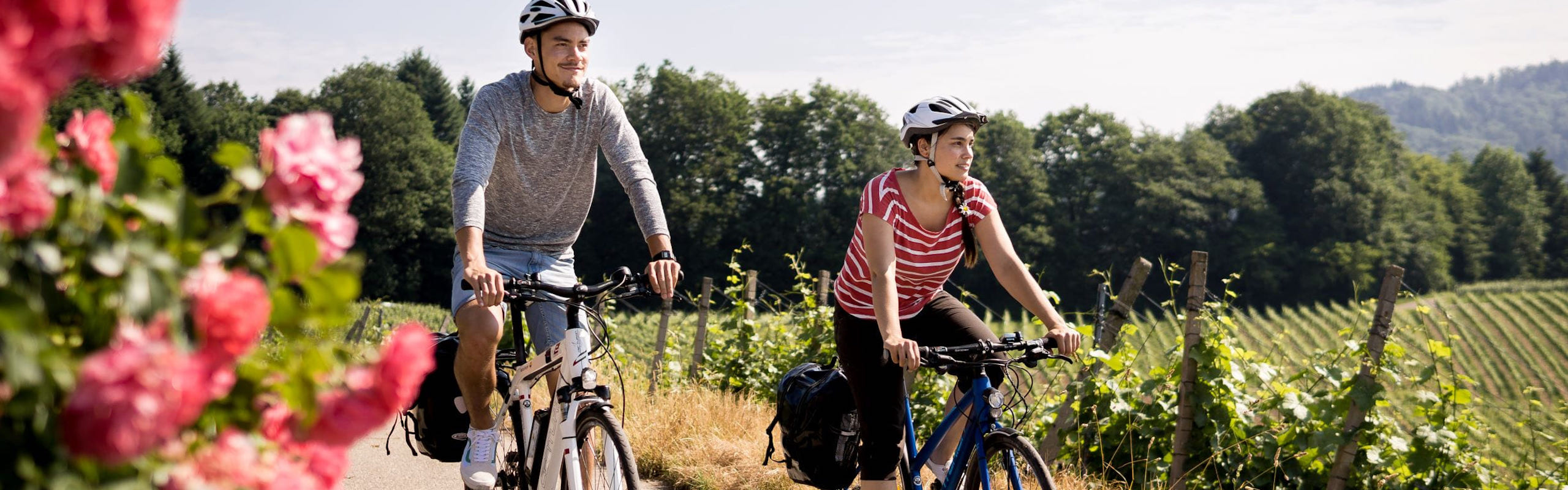 Zwei Radfahrer fahren über einen grünen Weinberg