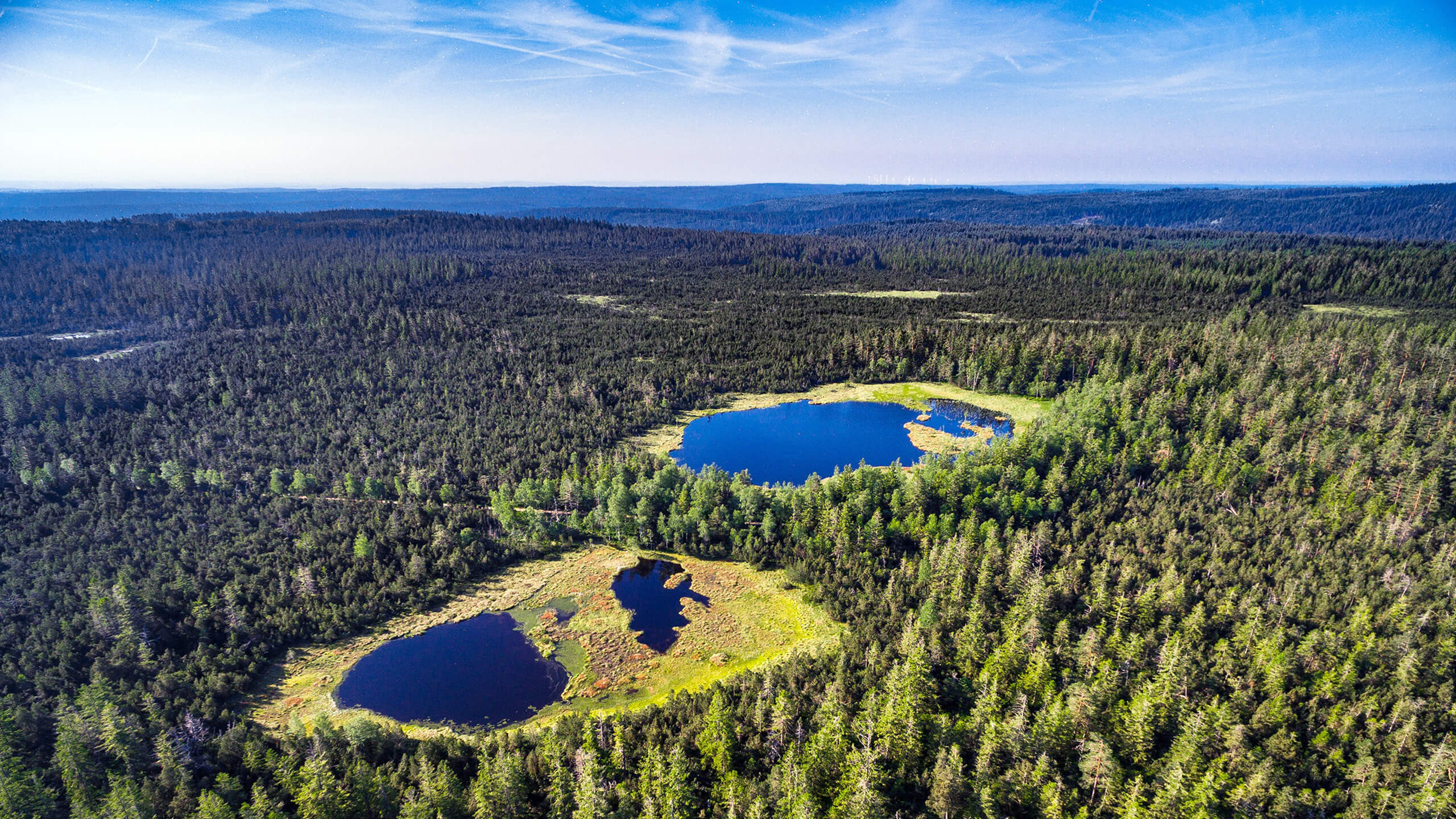 Luftaufnahme der Karseen auf dem Kaltenbronn 